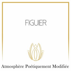 Figuier-C