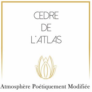 cedreatlas-C