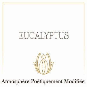 Eucalyptus-C